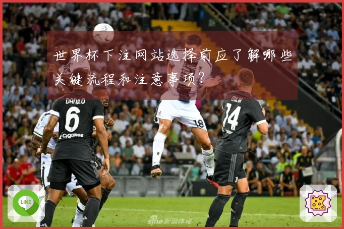 世界杯下注网站选择前应了解哪些关键流程和注意事项？
