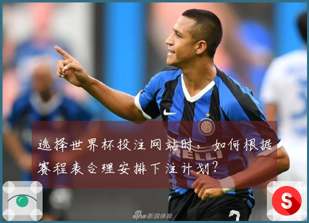 选择世界杯投注网站时，如何根据赛程表合理安排下注计划？