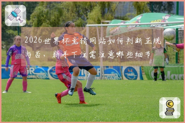 2026世界杯竞猜网站如何判断正规与否，新手下注需注意哪些细节