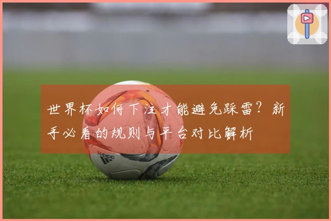 世界杯如何下注才能避免踩雷？新手必看的规则与平台对比解析