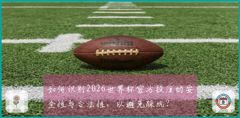如何识别2026世界杯官方投注的安全性与合法性，以避免踩坑？