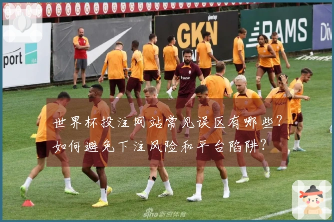 世界杯投注网站常见误区有哪些？如何避免下注风险和平台陷阱？