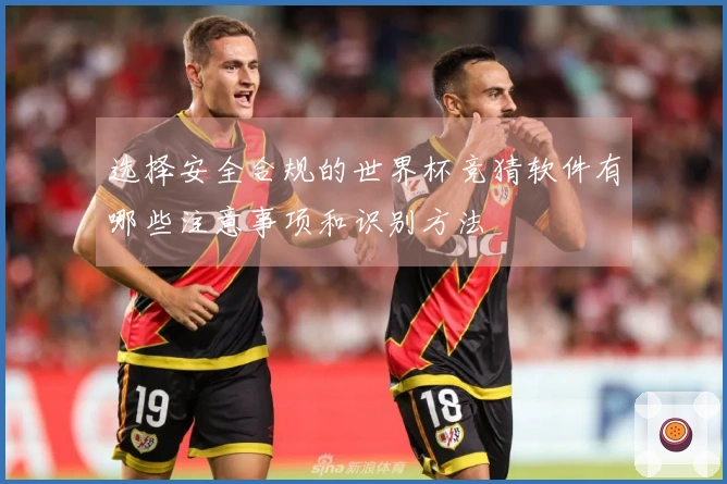 选择安全合规的世界杯竞猜软件有哪些注意事项和识别方法