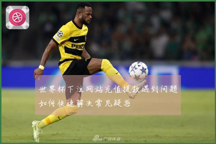 世界杯下注网站充值提款遇到问题如何快速解决常见疑惑
