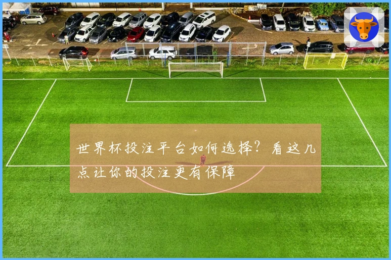 世界杯投注平台如何选择？看这几点让你的投注更有保障