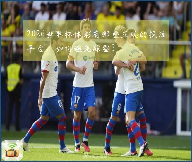 2026世界杯体彩有哪些正规的投注平台，如何避免踩雷？
