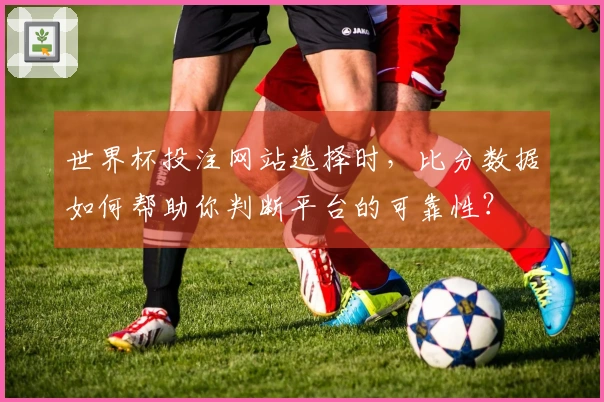 世界杯投注网站选择时，比分数据如何帮助你判断平台的可靠性？
