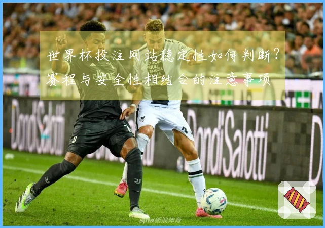 世界杯投注网站稳定性如何判断？赛程与安全性相结合的注意事项