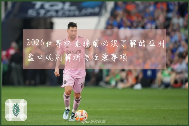 2026世界杯竞猜前必须了解的亚洲盘口规则解析与注意事项