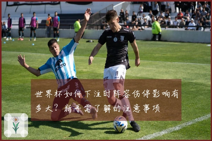 世界杯如何下注时阵容伤停影响有多大？新手需了解的注意事项
