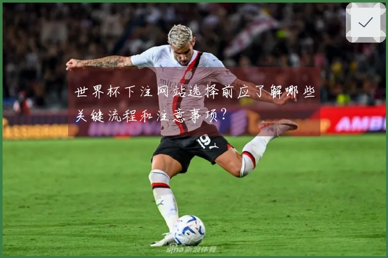 世界杯下注网站选择前应了解哪些关键流程和注意事项？