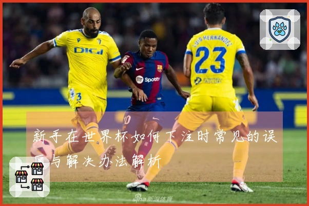 新手在世界杯如何下注时常见的误区与解决办法解析