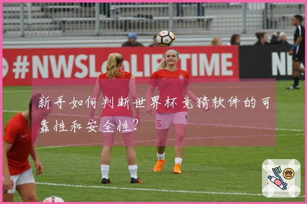 新手如何判断世界杯竞猜软件的可靠性和安全性？