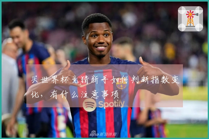 买世界杯竞猜新手如何判断指数变化，有什么注意事项