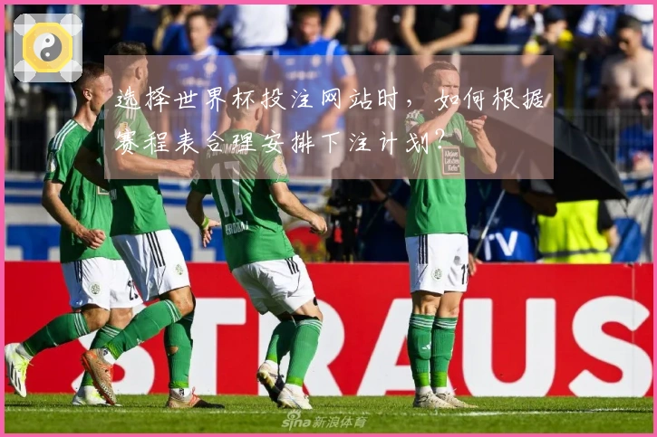 选择世界杯投注网站时，如何根据赛程表合理安排下注计划？