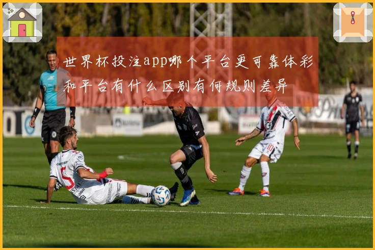世界杯投注app哪个平台更可靠体彩和平台有什么区别有何规则差异