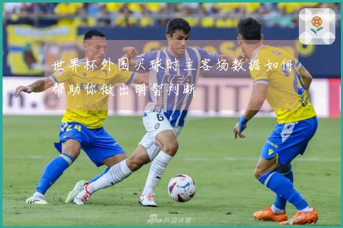 世界杯外围买球时主客场数据如何帮助你做出明智判断