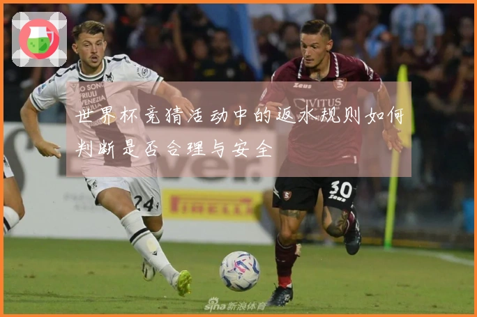 世界杯竞猜活动中的返水规则如何判断是否合理与安全
